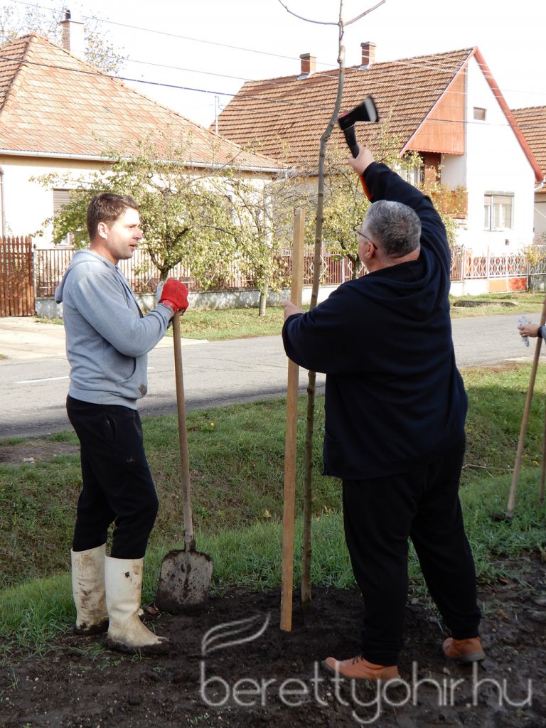Közösségi faültetés Berettyóújfaluban 71